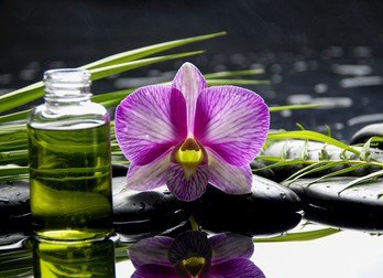 今天,南京上门按摩服务你约了吗?