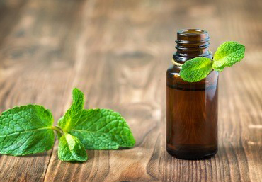 穴位推拿按摩的治疗原则主要有哪些?